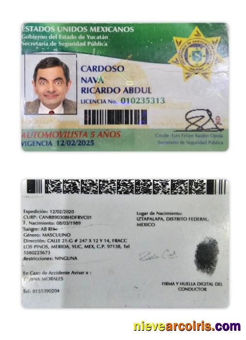 Mexico Yucatan state driving license